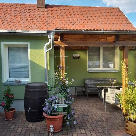 Apartament Toepferblick Olbersdorf Zewnętrze zdjęcie