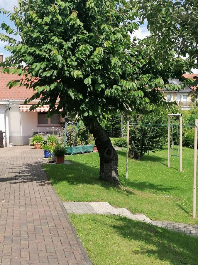 Apartament Toepferblick Olbersdorf Zewnętrze zdjęcie